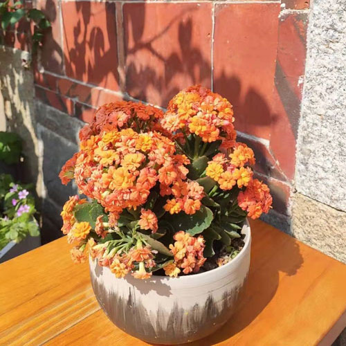 روز جهانی زن مبارک