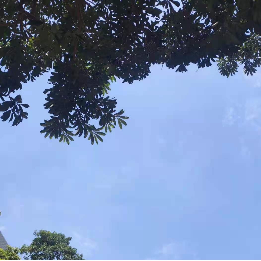 روز جهانی زمین