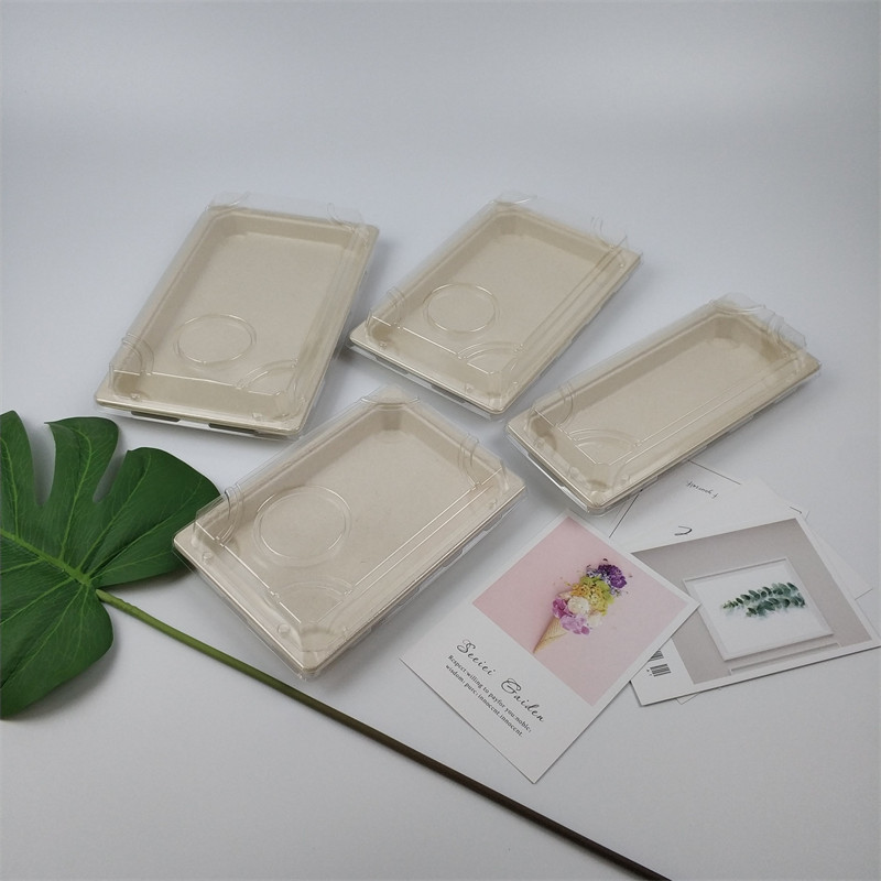 سینی سوشی پالپ